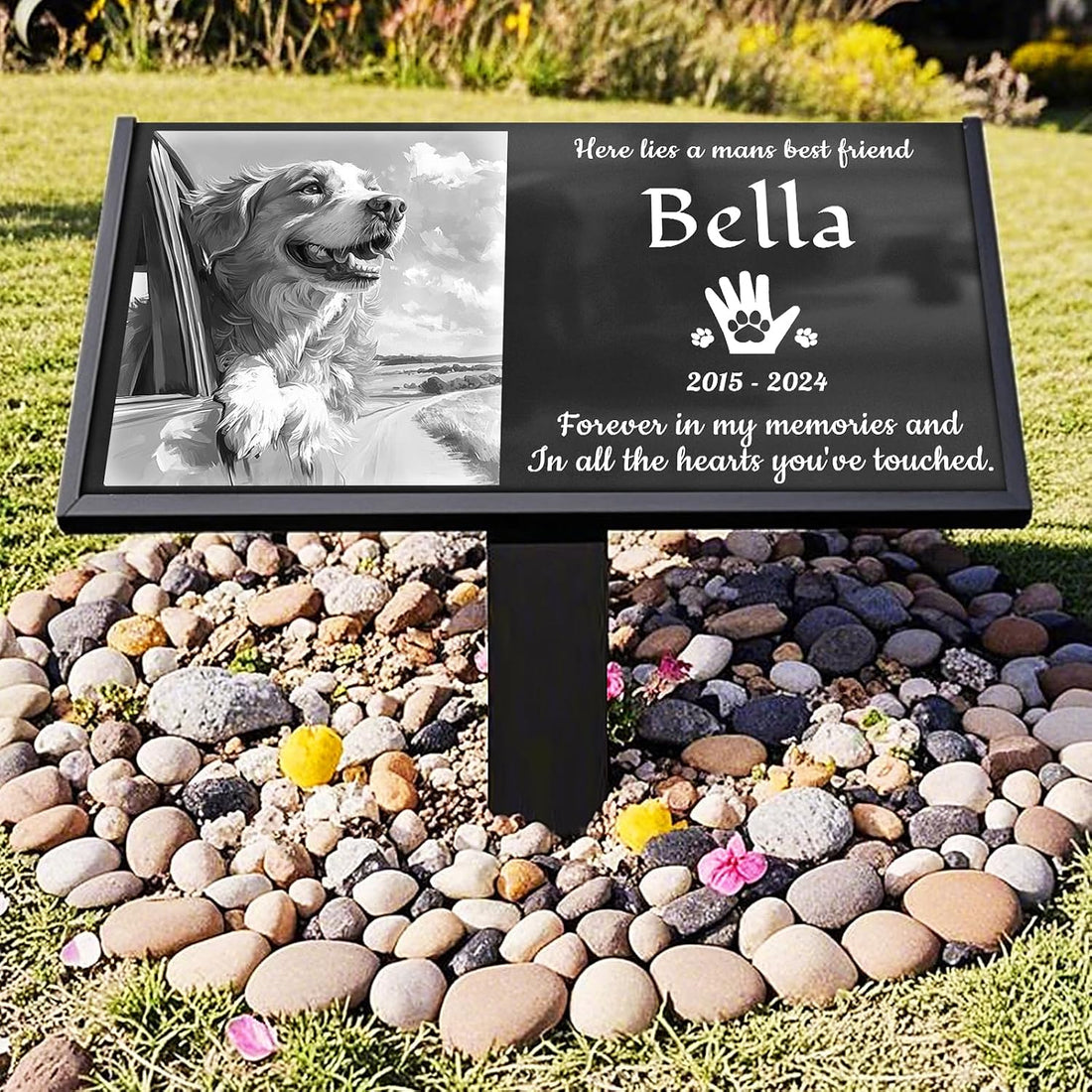 🐾 Remembering Bella: A Loyal Friend and Gentle Soul