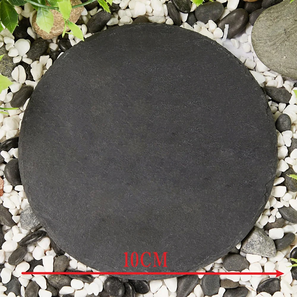 Custom Pet Photo Garden Stone – A Loving Tribute.